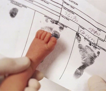 孕妇梦见鸭子什么意思，南京代怀孕梦到鸭子是生男还是生女？